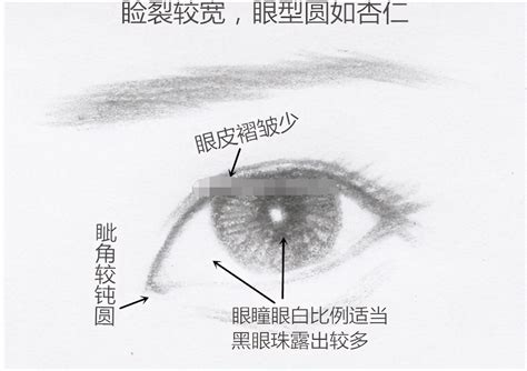 瑞鳳眼男|【瑞鳳眼眼型】親解密！最強瑞鳳眼特徵分析與修飾秘技